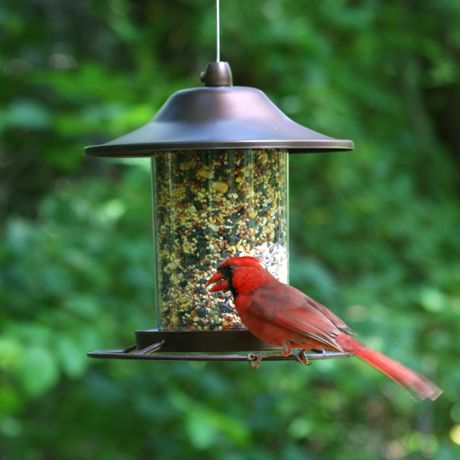 Perky Pet Small Panorama Wild Bird Feeder Walmart Canada