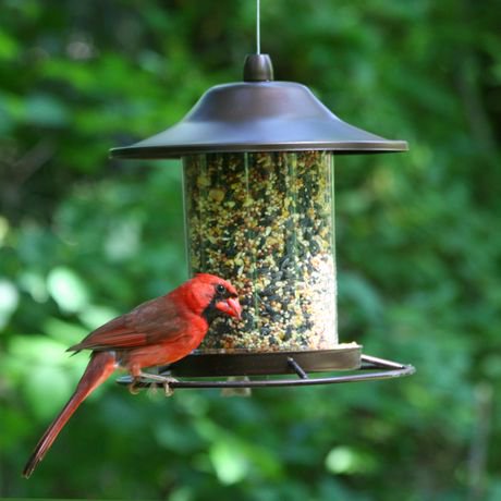 Perky-Pet Small Panorama Wild Bird Feeder | Walmart Canada