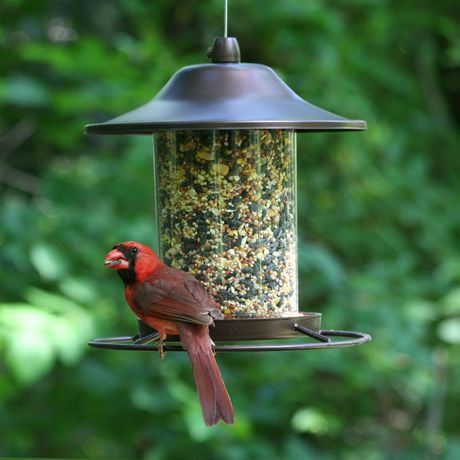 Perky Pet Small Panorama Wild Bird Feeder Walmart Canada