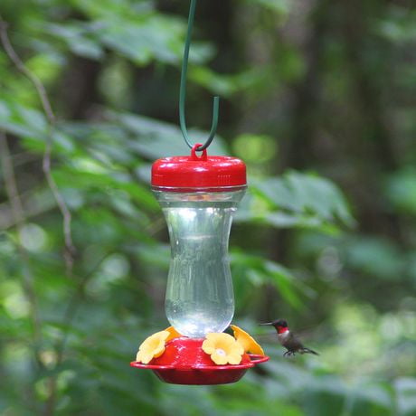 Perky-pet 16-ounce Glass Top Fill Hummingbird Feeder 