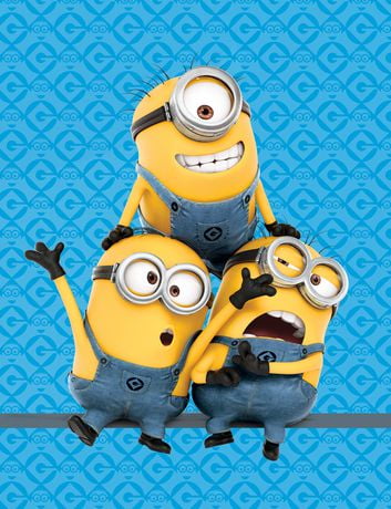 Despicable Me Minions Pyramid Throw | Walmart.ca