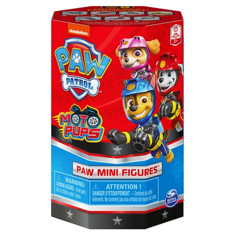 Email resultat Regulering PAW Patrol, Dino Rescue Collectible Blind Box Mini Figure and Mystery  Dinosaur (Style May Vary) | Walmart Canada