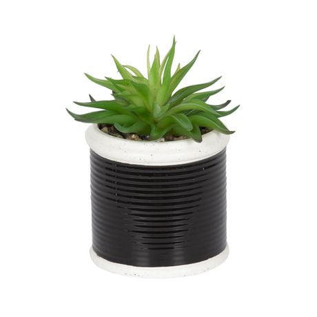 hometrends Seychelle Faux Succulent in Black Pot | Walmart Canada