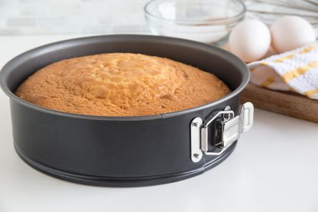 8 inch springform pan