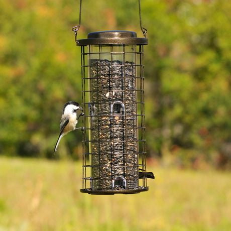 perky pet squirrel stumper wild bird feeder walmart ca perky pet squirrel stumper wild bird feeder walmart ca
