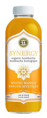 mango synergy kombucha mango synergy kombucha