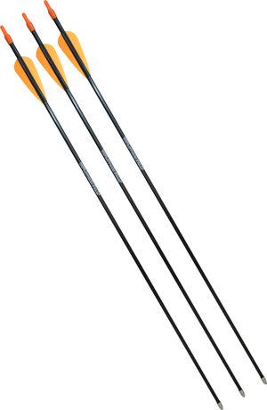 Barnett Junior Archery Arrows | Walmart Canada