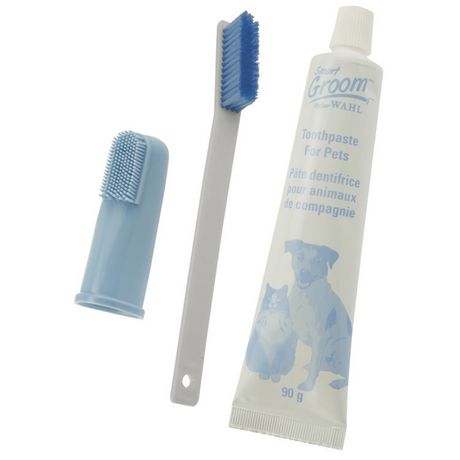pet toothbrush and toothpaste