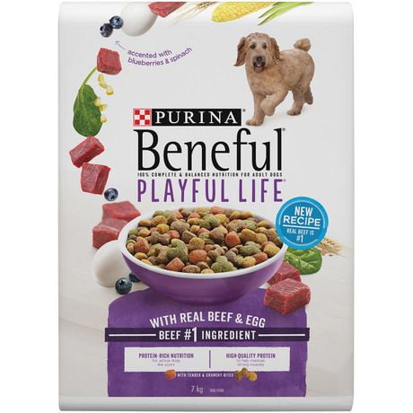 Purina® Beneful® Playful Life® Dog Food, 7 Kg - Walmart.ca