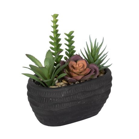 Hometrends Sukie Faux Succulents in Black Pot | Walmart Canada