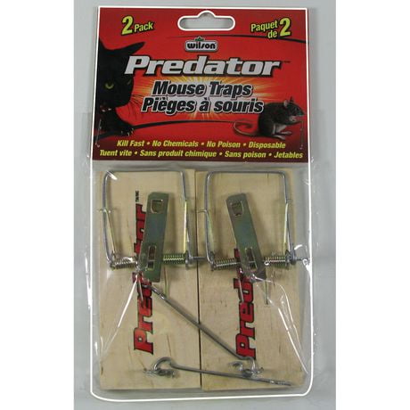predator mouse trap