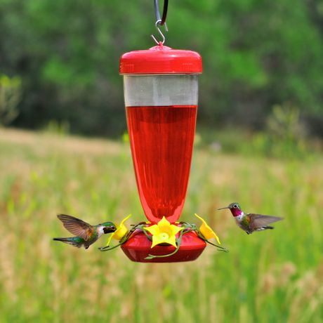 perky pet humming bird feeder walmart canada perky pet humming bird feeder walmart canada