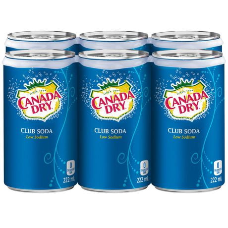 Canada Dry Club Soda 222 Ml Mini Cans 6 Pack Walmart Canada