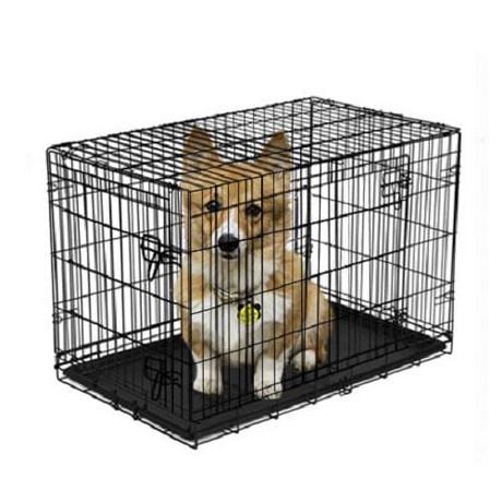 Vibrant Life Double-Door Metal Wire Dog Crate with Divider