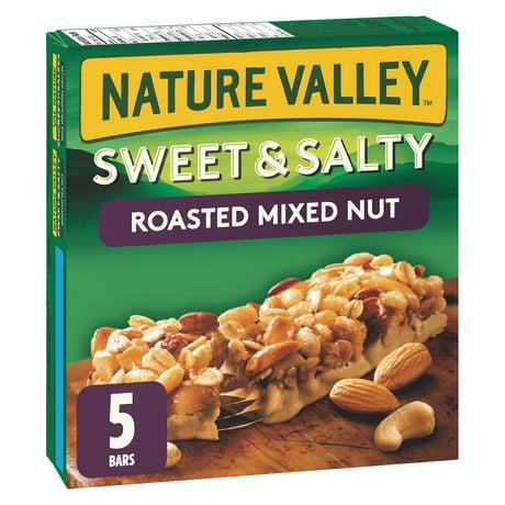 UPC 065633169791 product image for Nature Valley Sweet & Salty Roasted Mixed Nut Chewy Granola Bars | upcitemdb.com