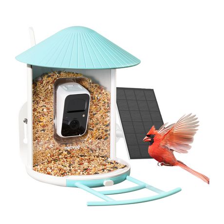 Mangeoire à oiseaux avec caméra Full HD connectée solaire, Tout pour  l'animal