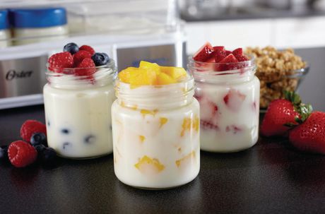 oster greek yogurt maker reviews
