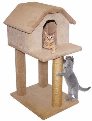 cat house