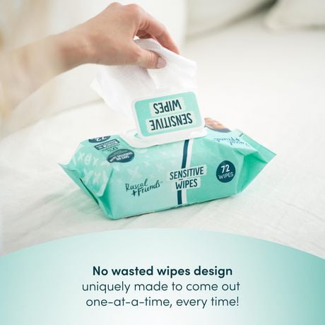 rascal friends wipes