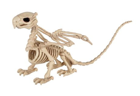 GRIFFIN SKELETON | Walmart Canada