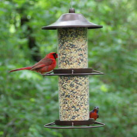 Perky-Pet Panorama Wild Bird Feeder | Walmart Canada