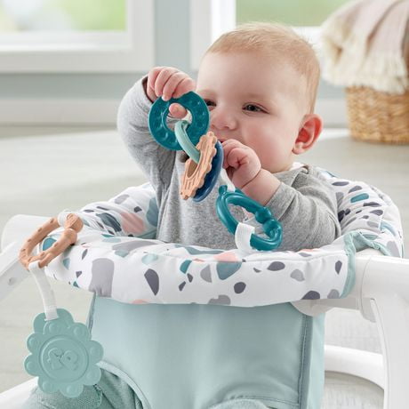 fisher price pacific pebble