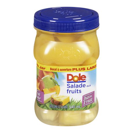 Dole Fruit Salad Fruit Juice | Walmart Canada