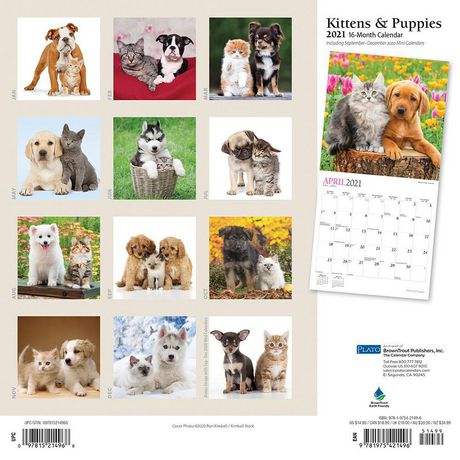 Kittens & Puppies 2021 12 x 12 Inch Monthly Square Wall Calendar with ...