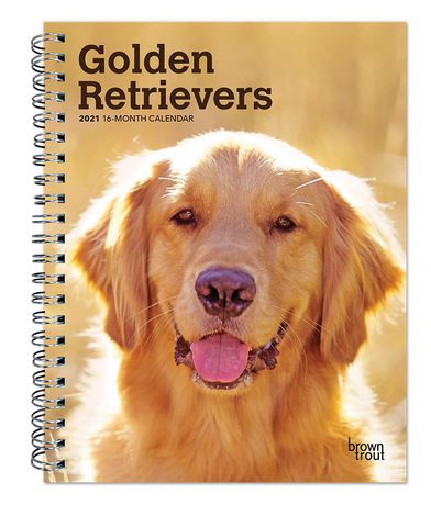 Golden Retrievers 2021 6 x 7.75 Inch Weekly Engagement Calendar