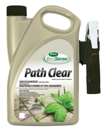 orchard grass weed control