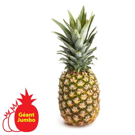 Pineapple, Golden Jumbo, 2.05-2.29 kg each