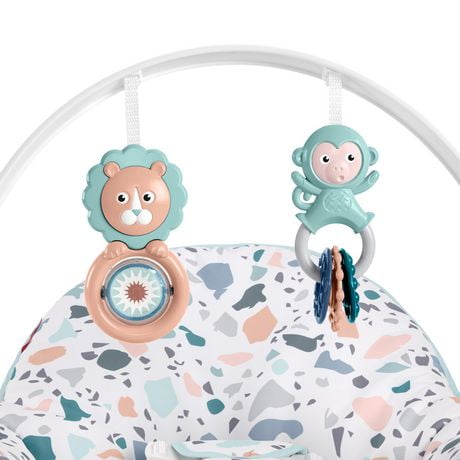 fisher price pacific pebble