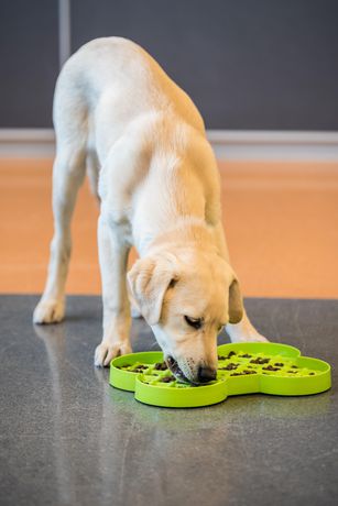 walmart slow feeder dog bowl