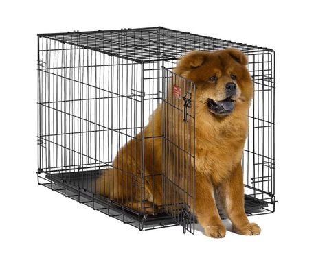 i crate