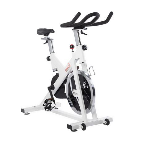 sunny exercise bikes