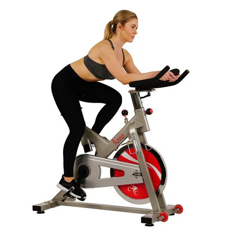 Sunny Health & Fitness SF-B1110S Indoor Cycling Bike - Walmart.ca