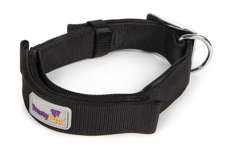 collar with built in leash