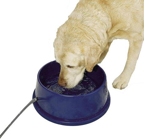 Farm Innovators 1 Quart Electric Heated Pet Water Bowl 25 Watt Green Walmart