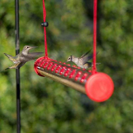perky pet hummingbird feeder 211 perky pet hummingbird feeder 211