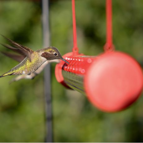 perky pet hummingbird feeder leak repair