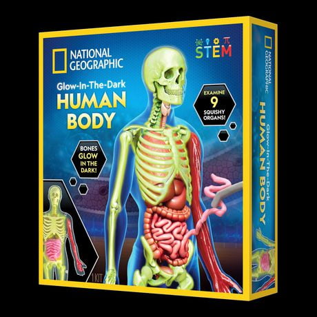 National Geographic Glow-in-the-Dark Human Body 540 g
