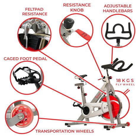 sunny belt drive bike