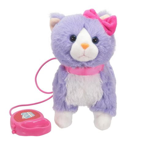 kid connection walking cat