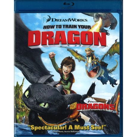 How To Train Your Dragon (Blu-ray) | Walmart Canada