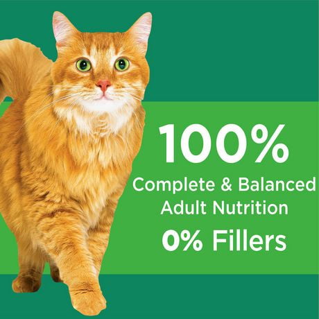 walmart iams senior cat food