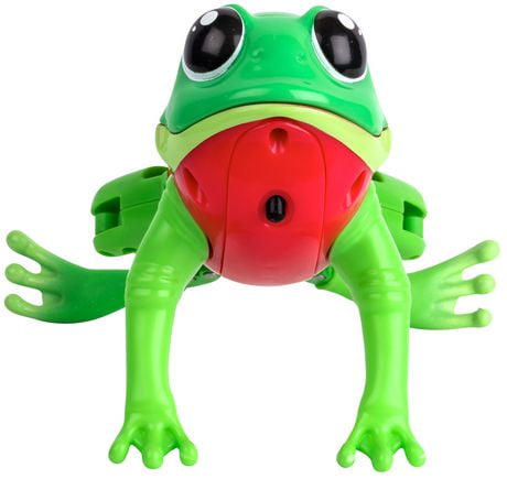 Little Live Pets Lil' Frog - Lily the Peaceful Frog | Walmart Canada