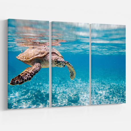 Design Art Large Hawksbill Sea Turtle Canvas Print | Walmart Canada