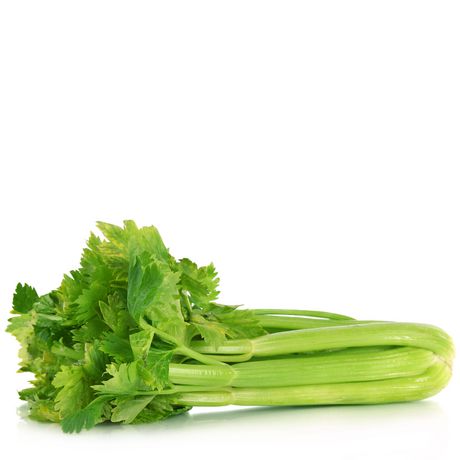 Image result for celery