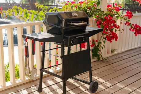 expert grill 2 burner gas grill