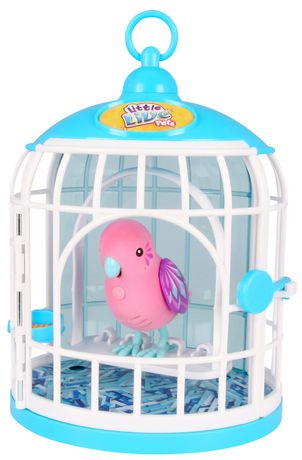 bird in a cage toy